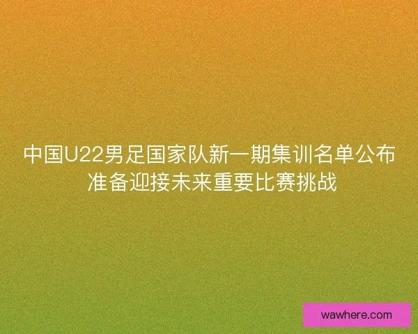 中国U22男足国家队新一期集训名单公布 准备迎接未来重要比赛挑战